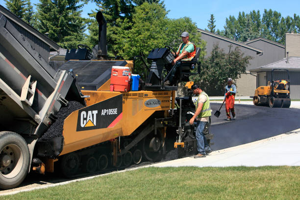 Best Driveway Paver Repairs and Restoration in Carrollton, KY